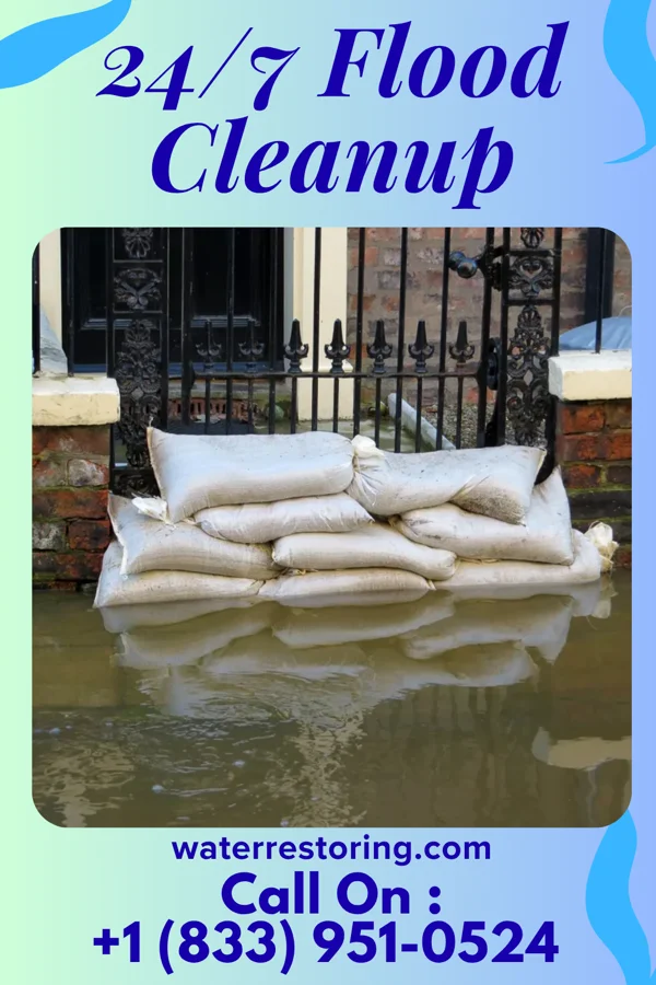 24/7 Flood Cleanup in Chelsea Cove, NY