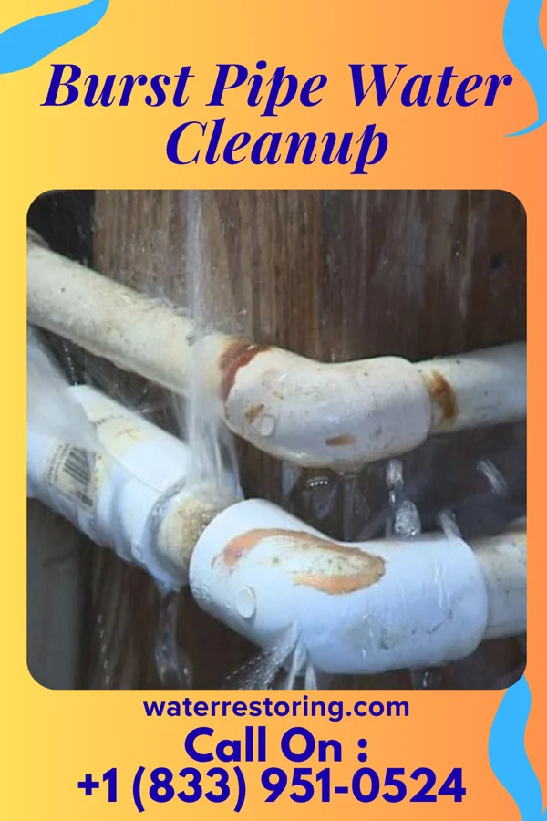 Burst Pipe Water Cleanup in Chelsea Cove, NY