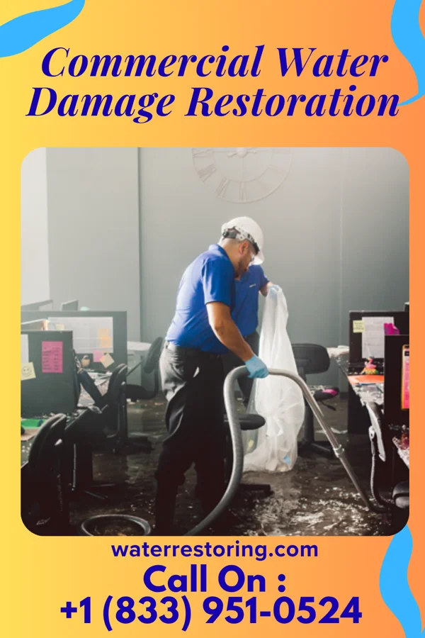 Commercial Water Damage Restoration in Chelsea Cove, NY