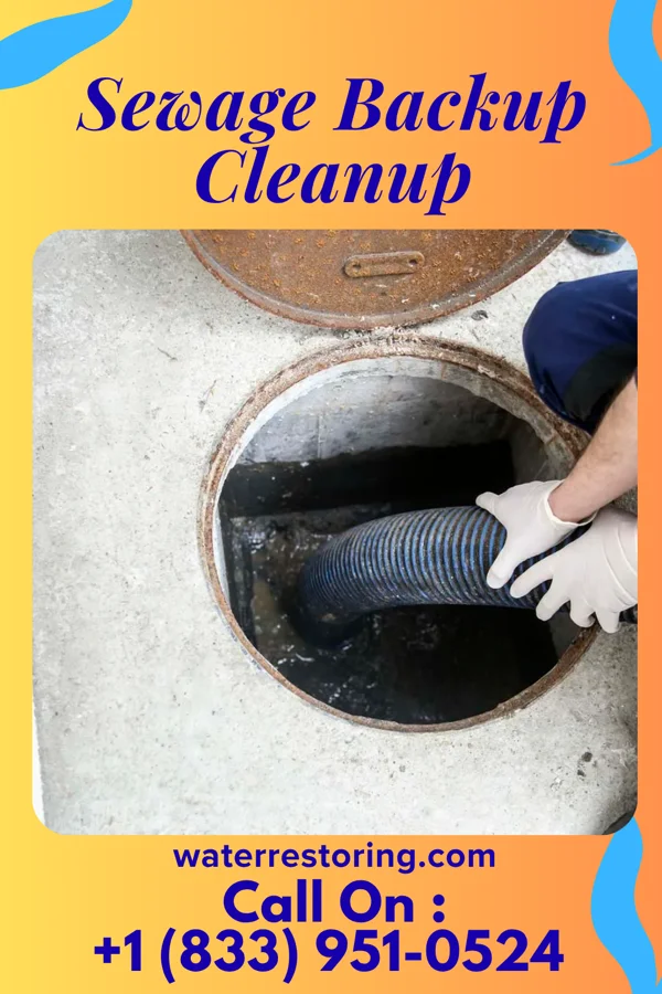 Sewage Backup Cleanup in Chelsea Cove, NY