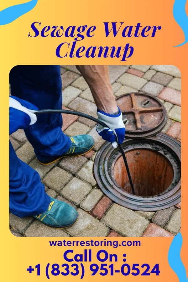 Sewage Water Cleanup in Chelsea Cove, NY