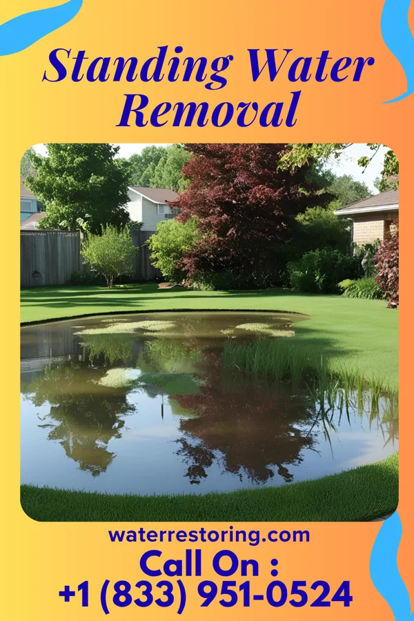 Standing Water Removal in Chelsea Cove, NY